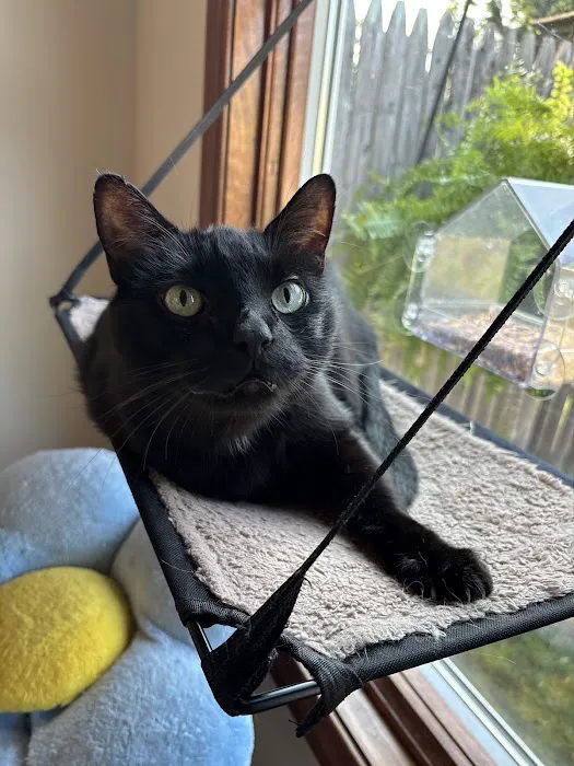 Integrity Veterinary Center Picture 6