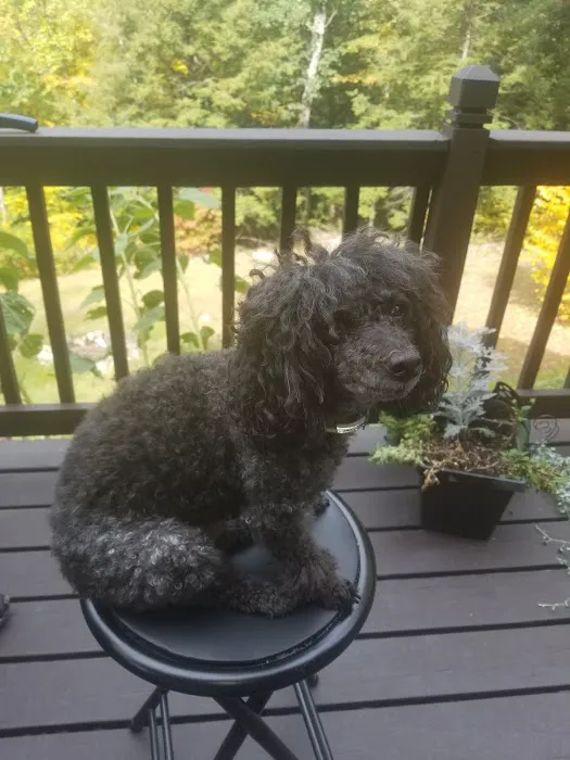 North King Animal Clinic Picture 7