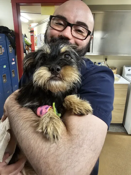 North King Animal Clinic Picture 6