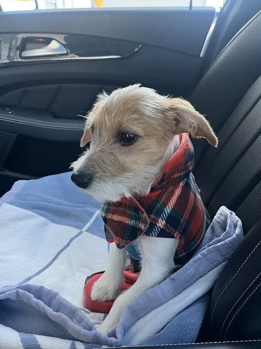 North King Animal Clinic Picture 9