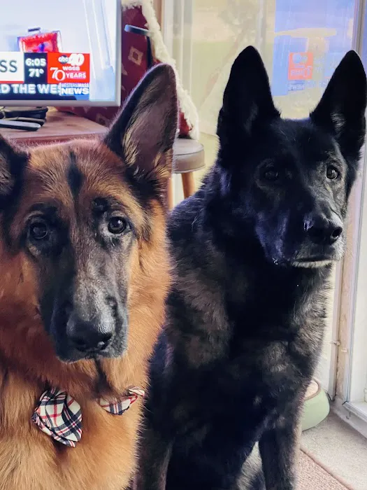 North King Animal Clinic Picture 1