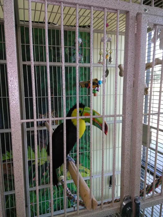 Maw & Paw's Pets Picture 3