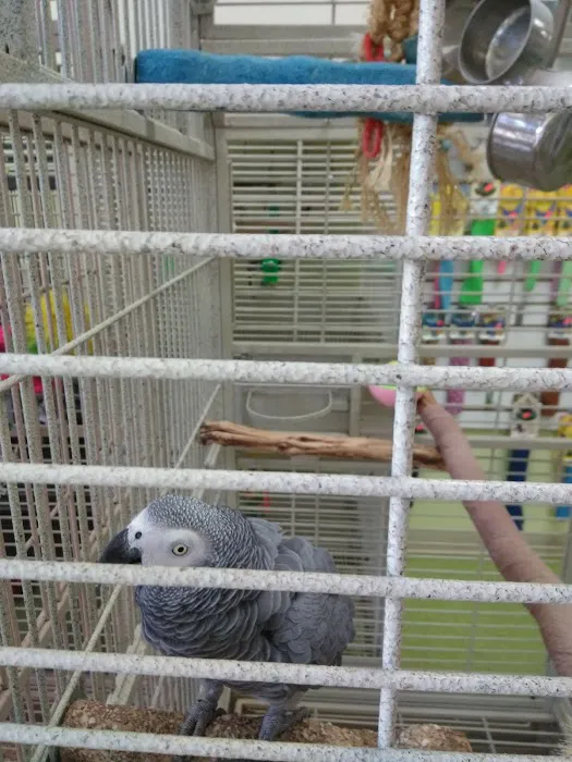 Maw & Paw's Pets Picture 5