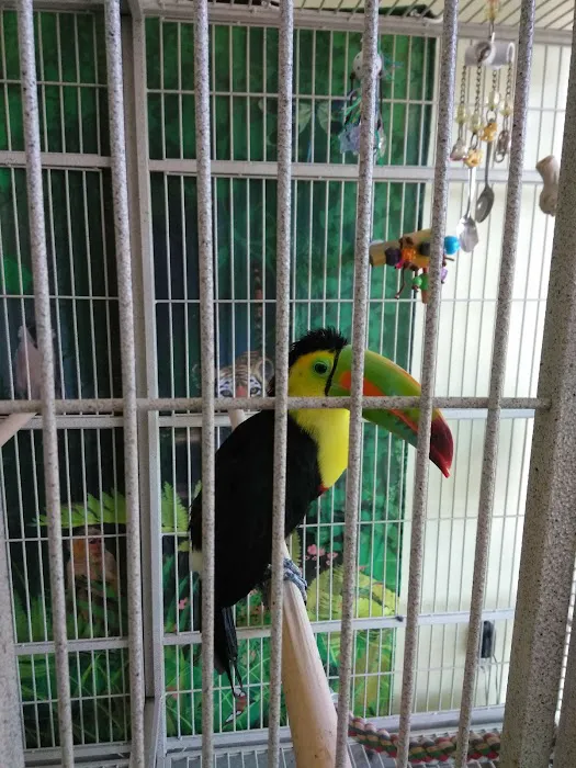 Maw & Paw's Pets Picture 4