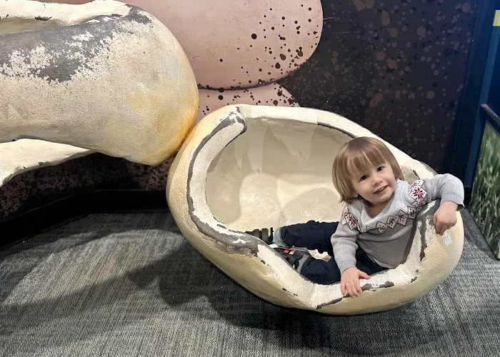 Florence Animal Clinic Picture 4