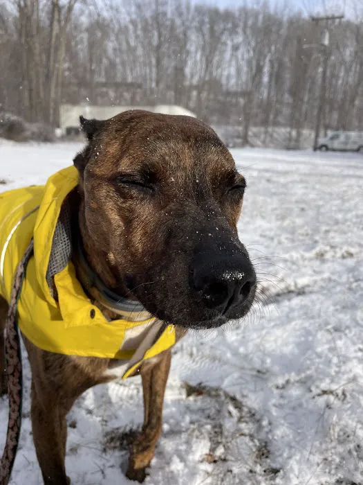 Florence Animal Clinic Picture 2