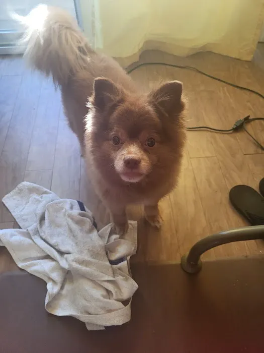 Florence Animal Clinic Picture 3