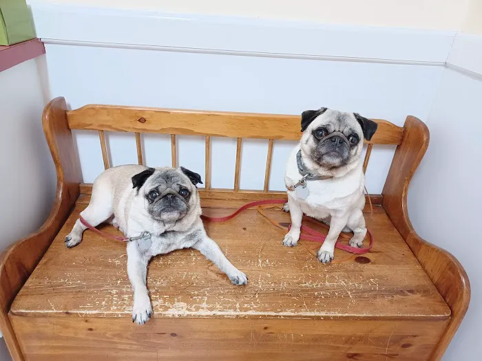 Florence Animal Clinic Picture 6