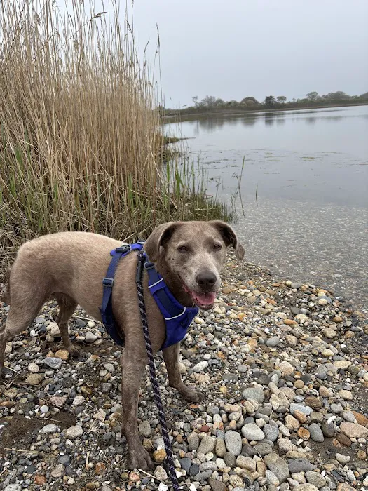 Florence Animal Clinic Picture 10
