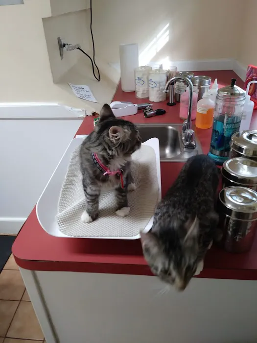 Florence Animal Clinic Picture 8