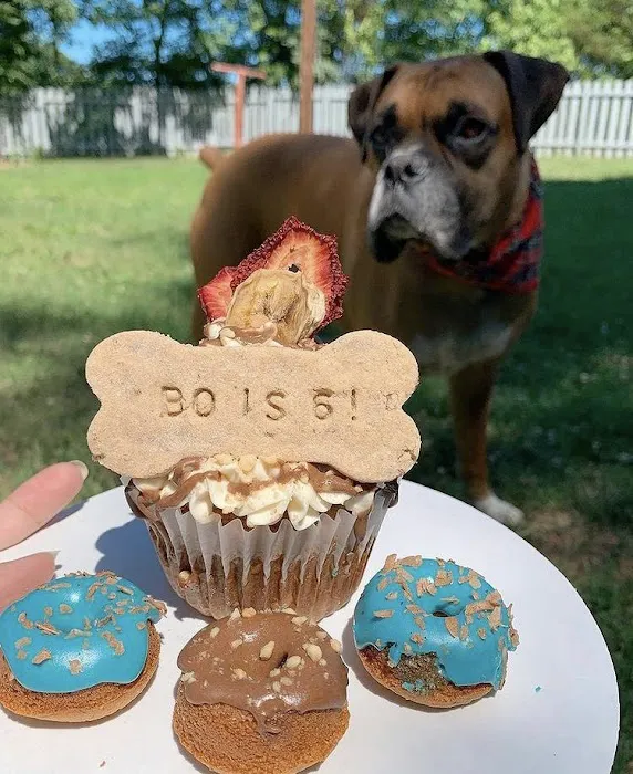 Howlin at the Moon Bakery Picture 8