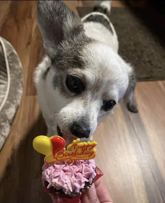 Howlin at the Moon Bakery Picture 5