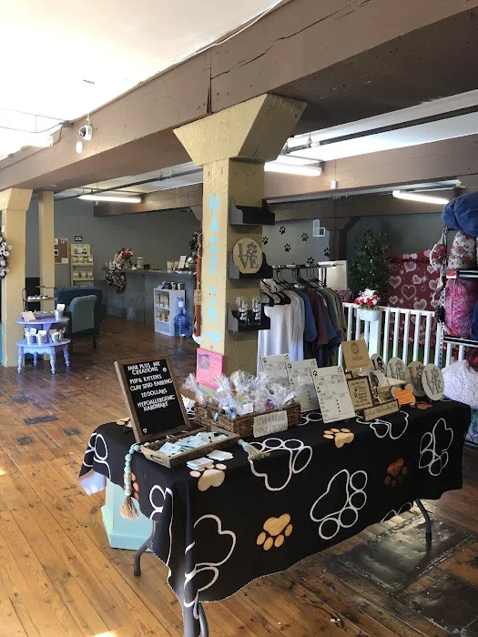 Howlin at the Moon Bakery Picture 4