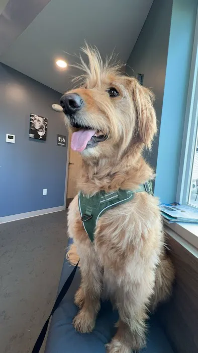 Easthampton Animal Hospital Picture 6