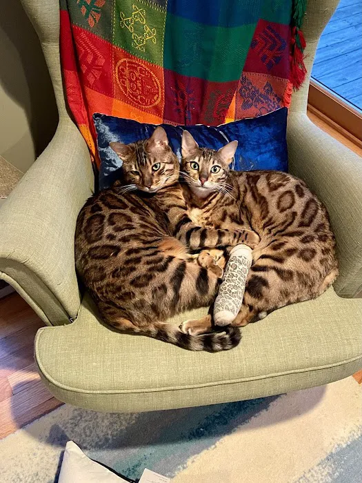 Easthampton Animal Hospital Picture 5