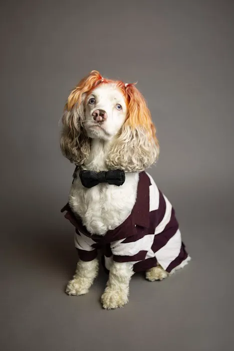 Easthampton Animal Hospital Picture 2