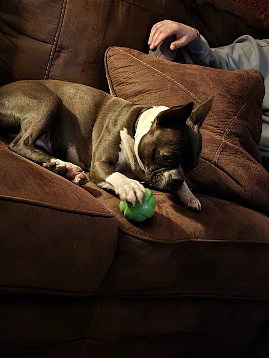 Easthampton Animal Hospital Picture 1