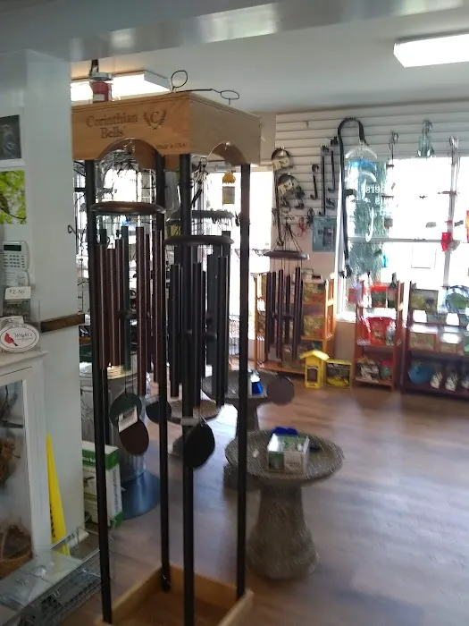 Wright's Backyard Birding Center Picture 1