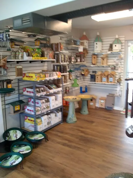 Wright's Backyard Birding Center Picture 2