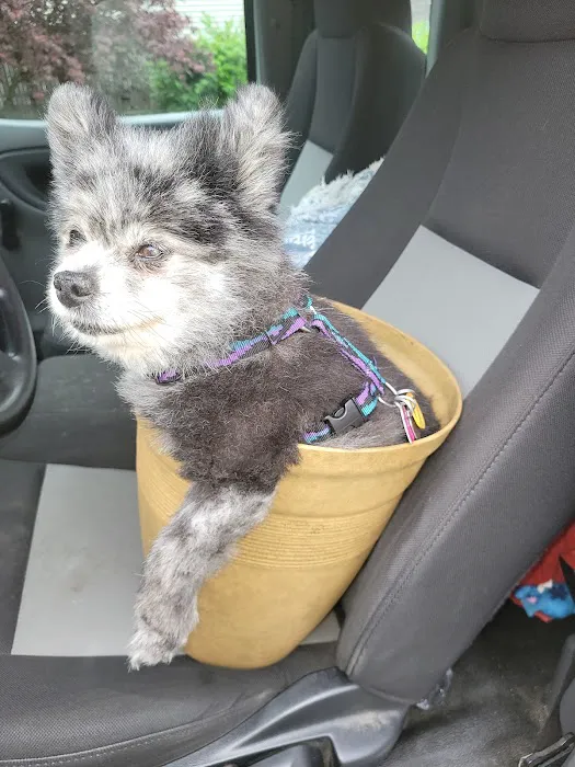 VCA Montgomery Road Animal Hospital Picture 7