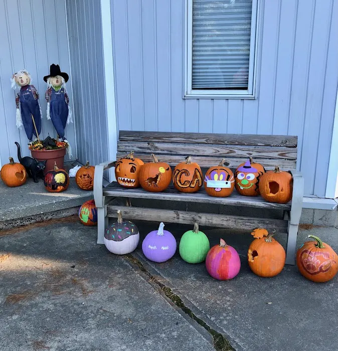 VCA Montgomery Road Animal Hospital Picture 8