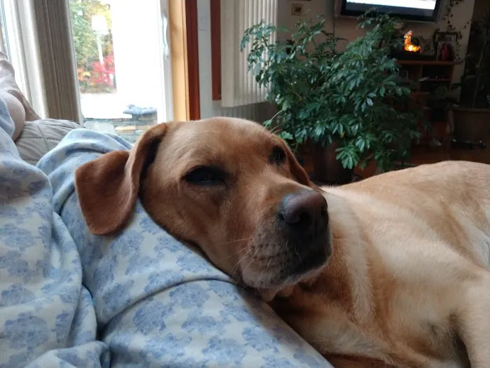 VCA Montgomery Road Animal Hospital Picture 5