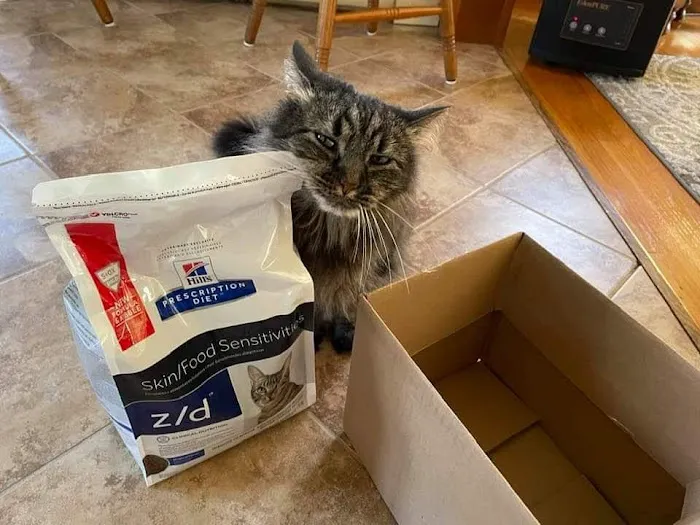 VCA Montgomery Road Animal Hospital Picture 10