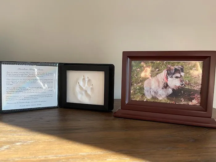 Holden Veterinary Clinic, A Thrive Pet Healthcare Partner Picture 3