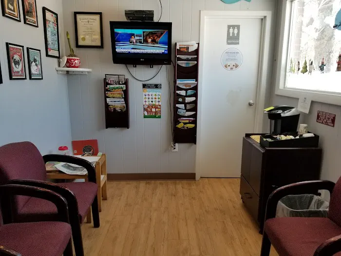 Holden Veterinary Clinic, A Thrive Pet Healthcare Partner Picture 8