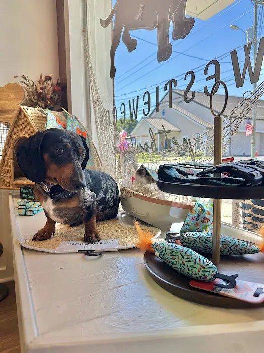 WestieWeens Pet Boutique Picture 3