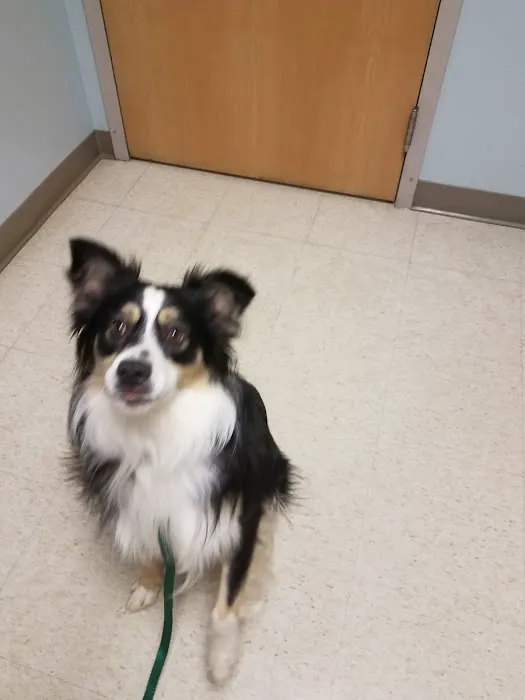 Hubbardston Veterinary Clinic Picture 3