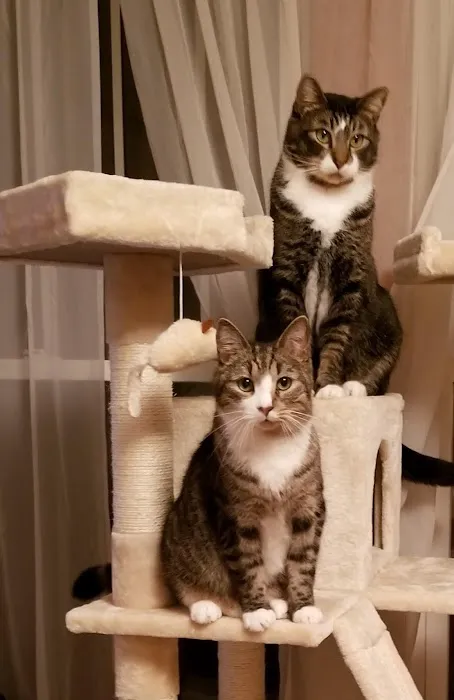 Hubbardston Veterinary Clinic Picture 1