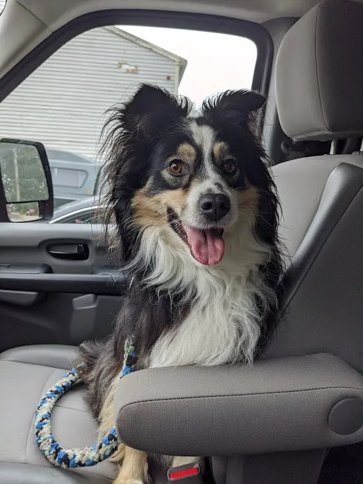 Hubbardston Veterinary Clinic Picture 9