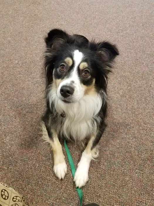 Hubbardston Veterinary Clinic Picture 8