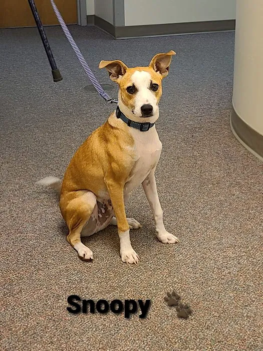 Hubbardston Veterinary Clinic Picture 5