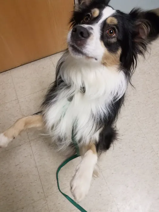 Hubbardston Veterinary Clinic Picture 6