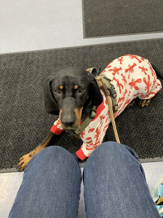 Sunderland Animal Hospital Inc Picture 8