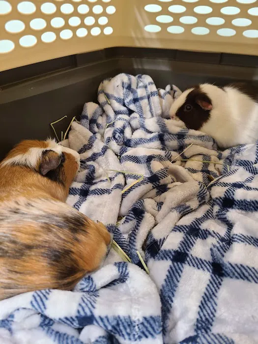 Sunderland Animal Hospital Inc Picture 1