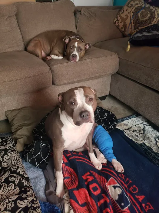 Sunderland Animal Hospital Inc Picture 6