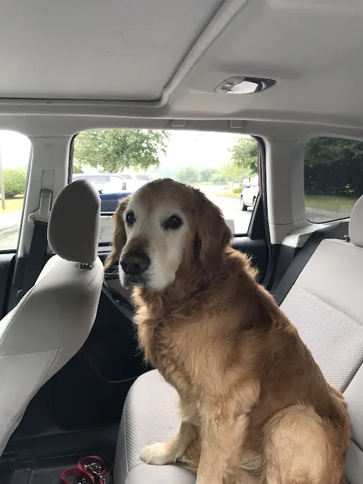 Sunderland Animal Hospital Inc Picture 3