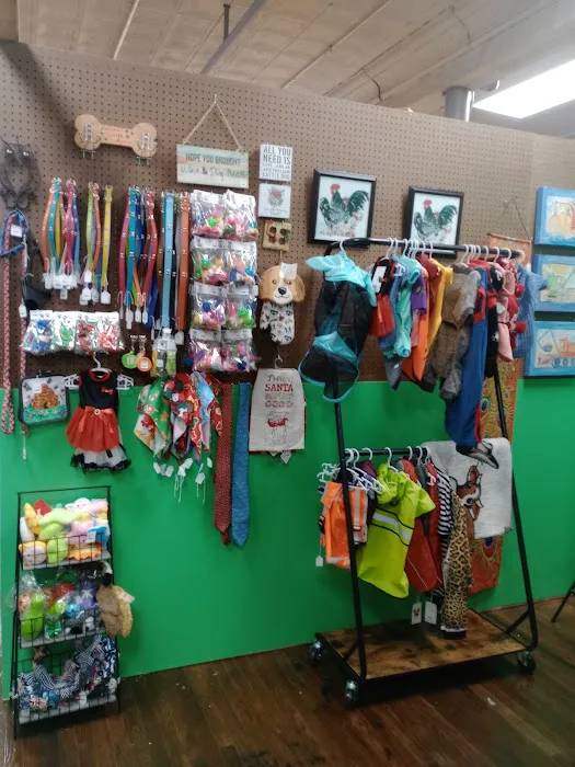 Luv's Gourmet Pet Treats Boutique Picture 4