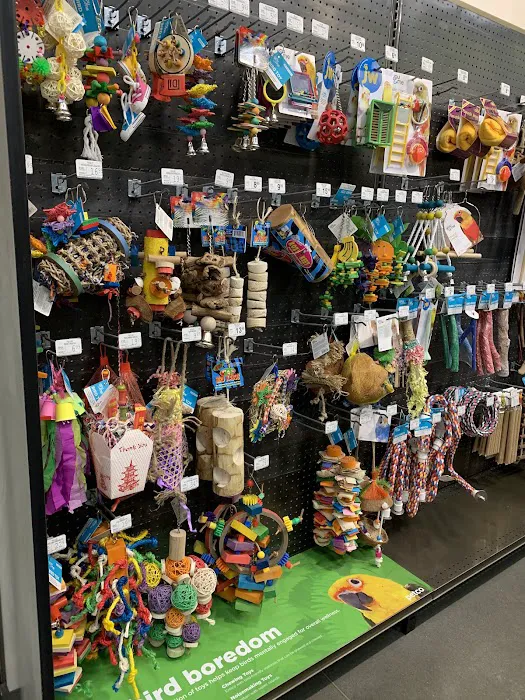 Petco Picture 3