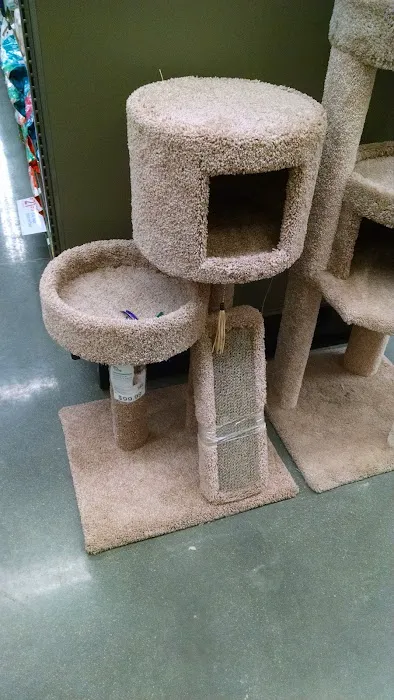Petco Picture 9