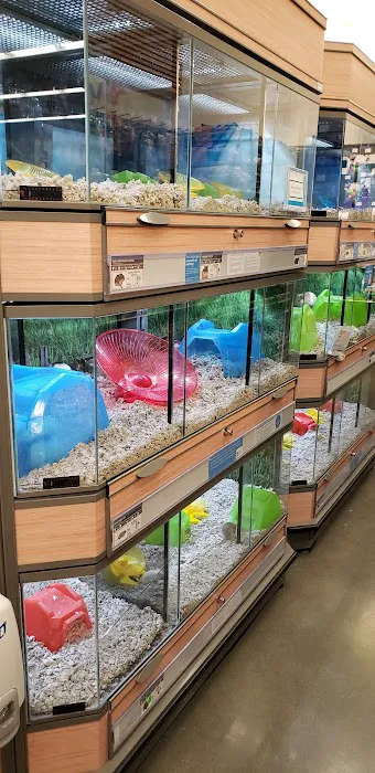 Petco Picture 7