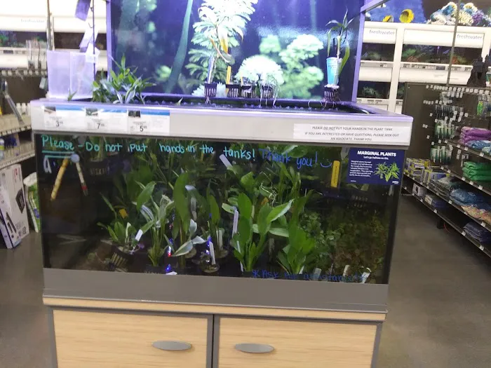 Petco Picture 10