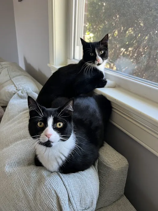 Northampton Veterinary Clinic Picture 2