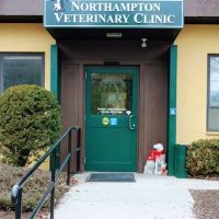 Northampton Veterinary Clinic ico
