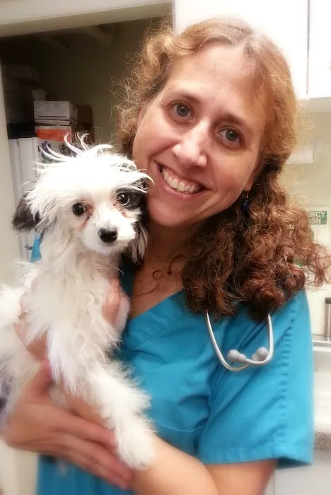 Northampton Veterinary Clinic Picture 5