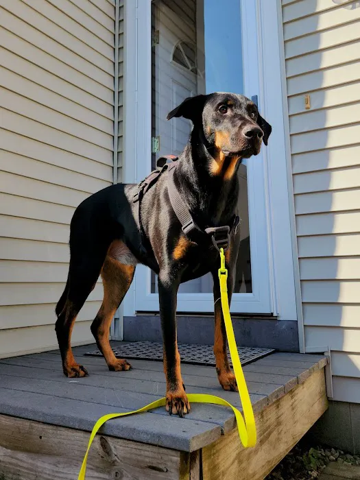 Northampton Veterinary Clinic Picture 6