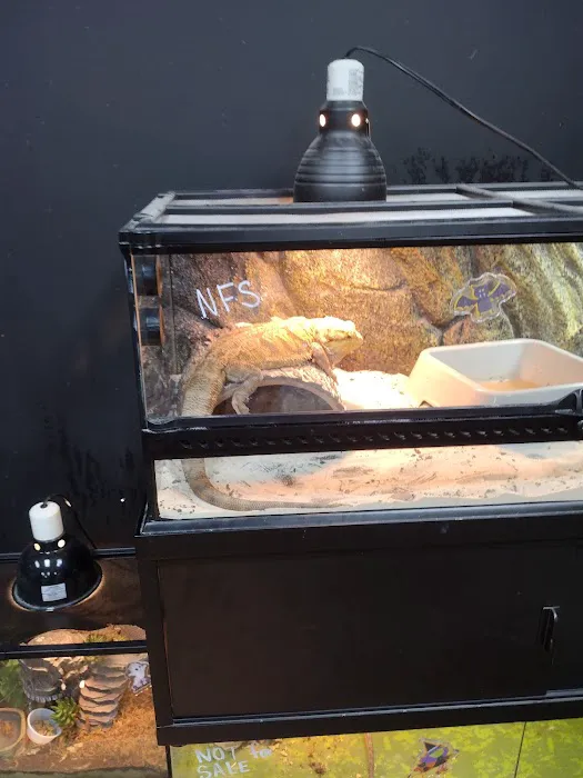 Missing Link Aquatics & Exotics Picture 3